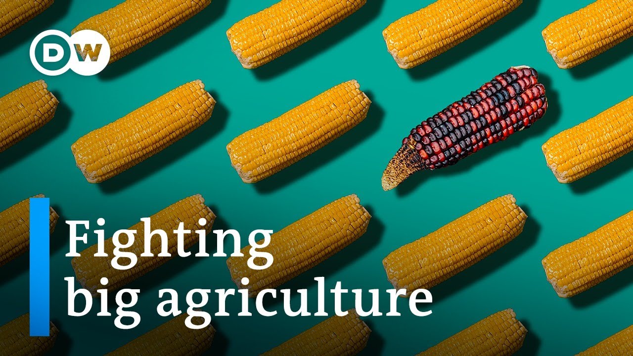 How big agriculture is taking over our diets